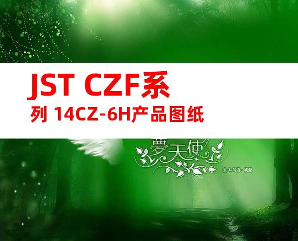 JST CZF系列 14CZ-6H产品图纸